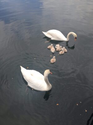 photo by Esther Jurgens 