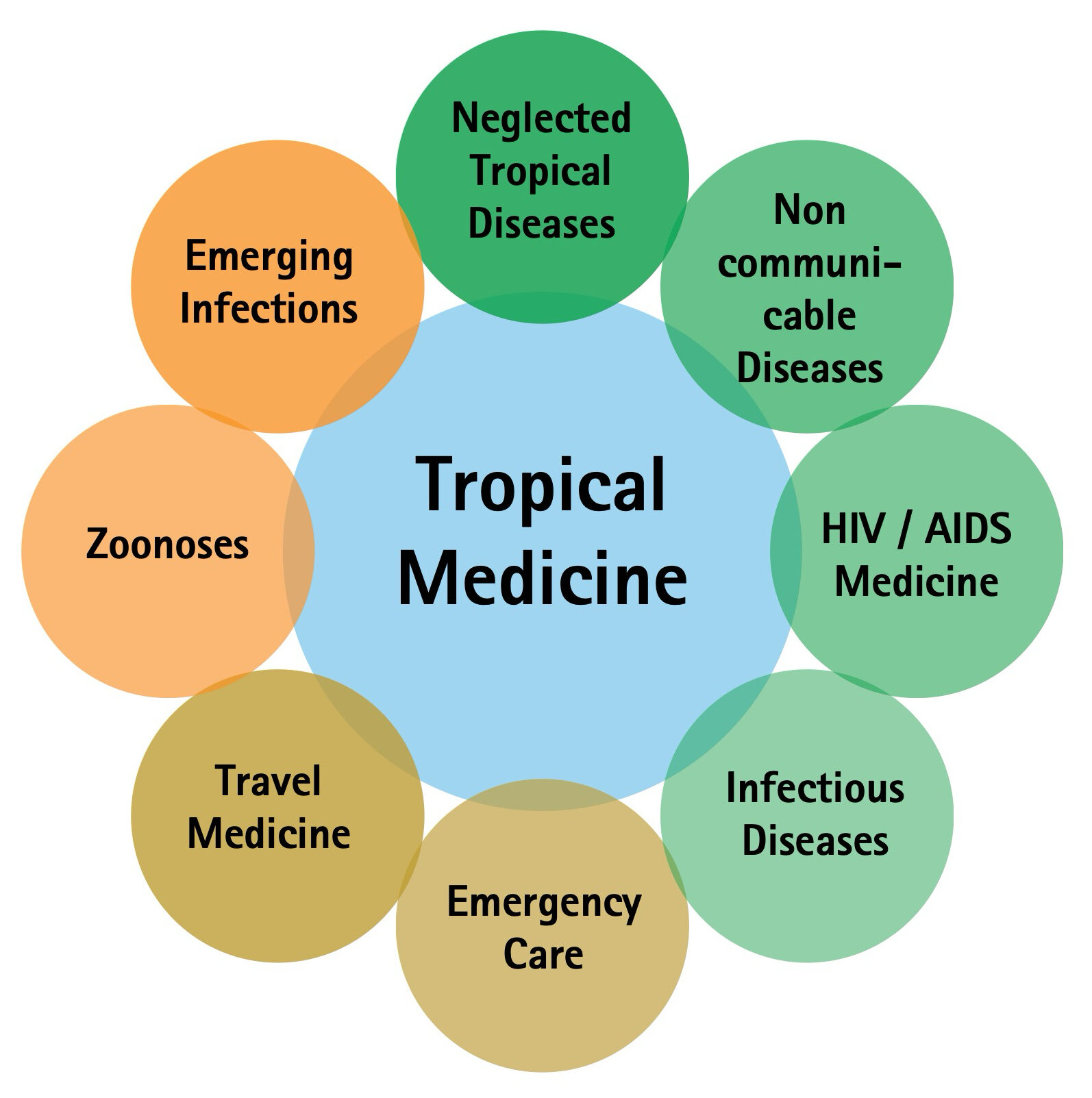 Figure 2. Broadening and deepening of Tropical Medicine anno 2017 (from ref. 1)